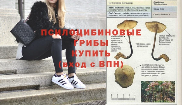 кристаллы Алзамай
